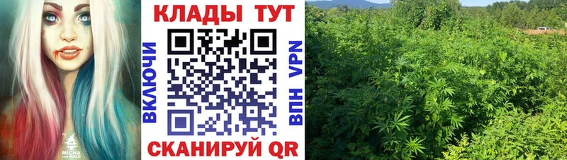 Где купить наркоту Туран Cocaine  МЕФ  АМФЕТАМИН  Марихуана 