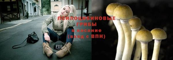 таблы Аркадак