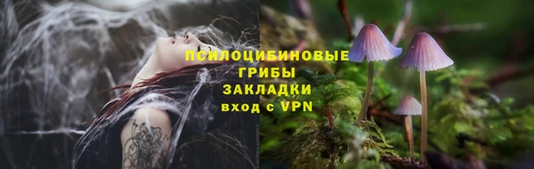 таблы Аркадак