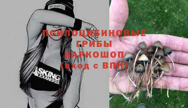 таблы Аркадак