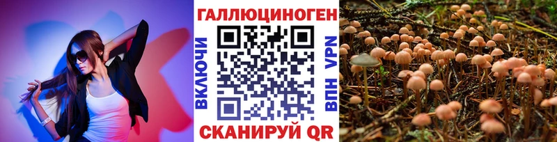 хочу наркоту Туран Галлюциногенные грибы мухоморы